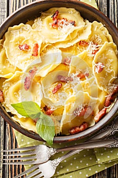 Italian Traditional Dish Girasoli Pasta with cheese and bacon on plate. Vertical top view photo