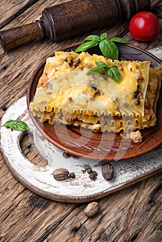 Italian traditional lasagna