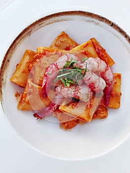 Italian traditional paccheri short pasta from gragnano with shrimps and burned onions cream