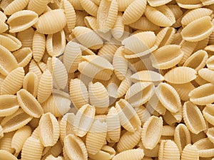 Italian uncooked gnocchetti sardi pasta food background