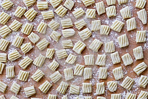 Italian uncooked home made pasta gnocchi
