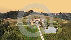 Italian villa. vineyards. Drone view of beautiful ancient Italian villa or estate in the middle of vineyards. Even rows