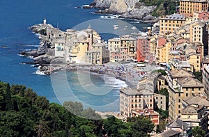 Italian village Camogli along the Golfo Paradiso photo