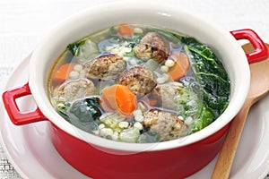 Italian wedding soup