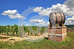 Italian winery. Castiglione Falletto, Italy.