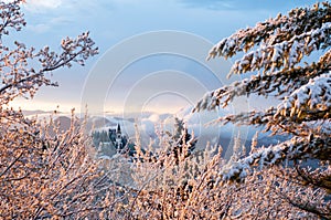 Italian winter landscape with small church surrounded by trees