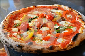 Italian Wood Fire Oven Pizza