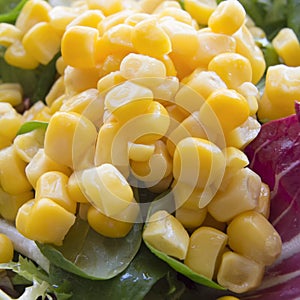 Italian yellow corn salad