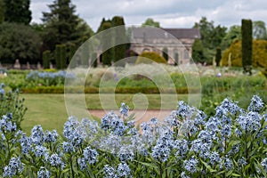 Italianate Garden on the Trentham Estate, Stoke-on-Trent, UK.  Camassia flowers in foreground.
