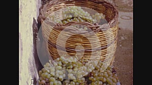 Italy 1966, Baskets full of grapes
