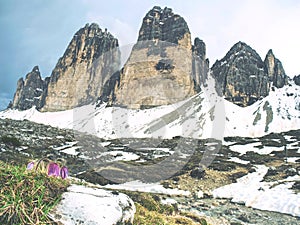 Italy Alps, Tre Cime Di Lavaredo, Dolomites, Europe