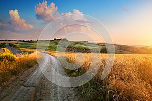 Italy autumn  countryside landscape, dirty road and farmland over sunset sky