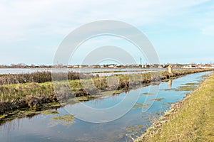 Italy, Cervia, saline nature panorama.