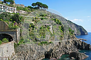 Italy. Cinque Terre coastline