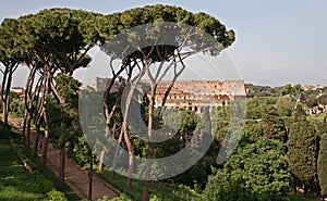 Italy, view from Palatine Hill photo