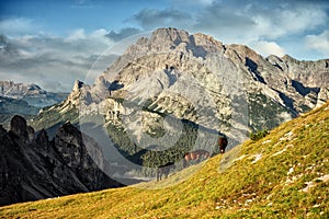 Italy, Dolomites - wonderful landscapes, horses graze near the barren rocks