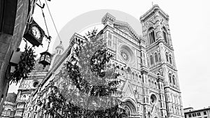 Italy Florence Cathedral with Christmas tree rainy day