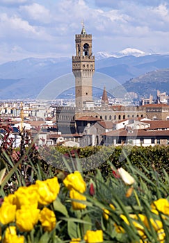 Italy,Florence, Palazzo Vecchio.
