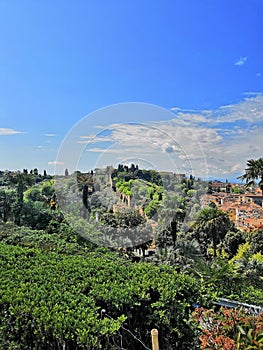 Italy Florence trees countryside green travel landscape Firenze day country