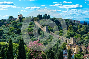 Italy, Florence, wall in the forest