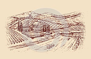 Italy. Italian landscape. Hand-drawn sketch vintage vineyard, farm. Vector illustration