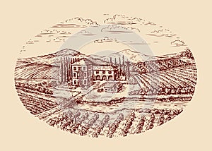 Italy. Italian rural landscape. Hand drawn sketch vintage vineyard, farm, agriculture, farming