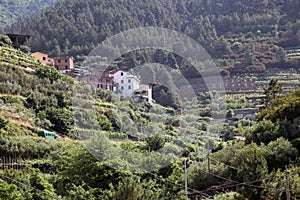 Italy. The Mediterranean coast. Cinque Terra