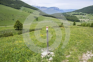 Italy, Mount Cornetto surroundings, italian Alps