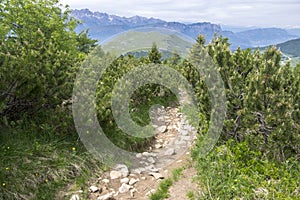 Italy, Mount Cornetto surroundings, italian Alps