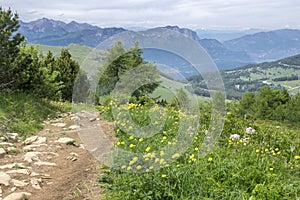 Italy, Mount Cornetto surroundings, italian Alps