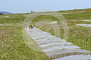 Italy Passo della Futa and the Giogo trekking in nature, paths and panoramic views germanic military cemetery photo