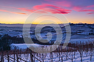 Italy Piedmont: Barolo wine yards unique landscape winter sunset, Novello medieval village castle on hill top, the Alps snow photo