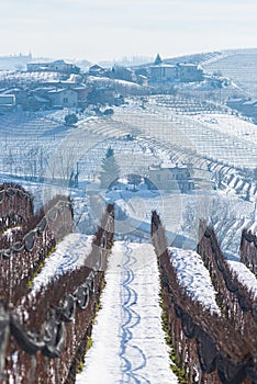 Italy Piedmont: row of wine yards, unique landscape in winter with snow, rural village on hill top, italian historical heritage