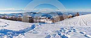 Italy Piedmont: row of wine yards, unique landscape in winter with snow, rural village on hill top, italian historical heritage