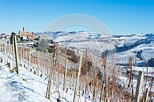 Italy Piedmont: row of wine yards, unique landscape in winter with snow, rural village on hill top, italian historical heritage