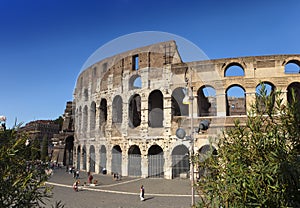 Italy. Rome. The ancient Collosseo