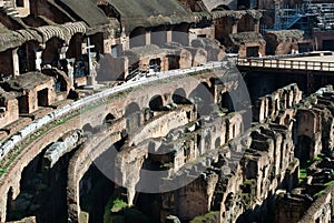 Italy. Rome ( Roma ). Colosseo (Coliseum)