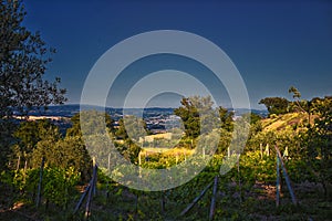 Italy rural Landscape from San Venanzo comune in the Province of Terni Umbria region rolling hills. Evening sunset 2023