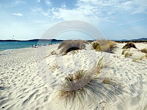 Italy, Sardinia, Carbonia Iglesias, Porto Pino, the dunes beach