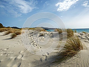 Italy, Sardinia, Carbonia Iglesias, Porto Pino, the dunes beach