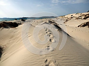 Italy, Sardinia, Carbonia Iglesias, Porto Pino, the dunes beach