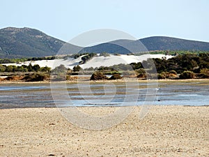 Italy, Sardinia, Carbonia Iglesias, Porto Pino, the pond behind the white sand dunes