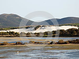 Italy, Sardinia, Carbonia Iglesias, Porto Pino, the pond behind the white sand dunes