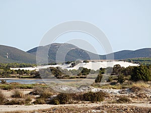 Italy, Sardinia, Carbonia Iglesias, Porto Pino, the pond behind the white sand dunes