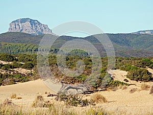 Italy, Sardinia, Piscinas view of sandy dunes and vegetation, in the background rocky mountains