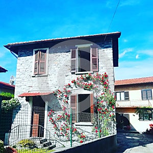 Italy stone cottage with red rosees Tuscany gate entrance