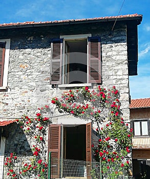 Italy stone cottage with red rosees Tuscany gate entrance