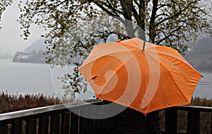 Italy, Trentino: Orange umbrella during a rainy day.