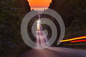 Italy, Tuscany, Castagneto Carducci, Bolgheri, Road and cypresses