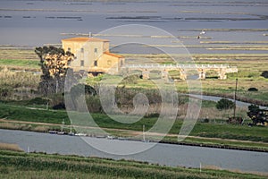 Italy, Tuscany, Castiglione della Pescaia, view of the Diaccia Botrona nature reserve from above